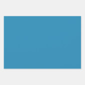 Festlicher Winter Niedlich Doodle Farbenfroh Schwa Geschenkpapier Set (Vorderseite 3)