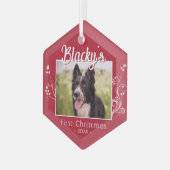 Festliches erstes Weihnachts Welpe Foliage Rotes F Ornament Aus Glas (Vorderseite Links)