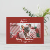 Festliches Foto Weihnachten Weihnachten Weihnachts (Stehend Vorderseite)