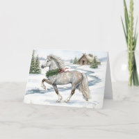 Festliches Isländisches Pferd in Winterlandschaft