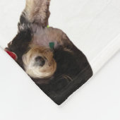 Festliches und niedliches Bernedoodrom mit einer W Fleecedecke (Ecke)