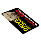 FESTPLATTE (LION) MAGNET (Rechte Seite)