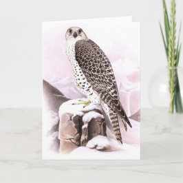 FESTPLATTENBIRD IM SCHNEE