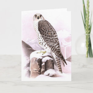 FESTPLATTENBIRD IM SCHNEE