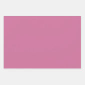 Feststoff Axolotl Geschenkpapier Set (Vorderseite 2)