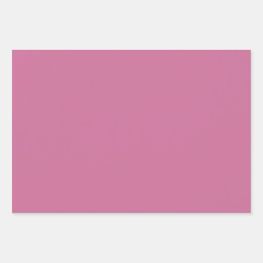 Feststoff Axolotl Geschenkpapier Set (Vorderseite 2)