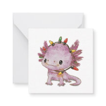 Feststoff Axolotl