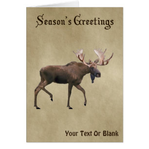 Festtagsgrüße - Bull Moose auf altem Papier