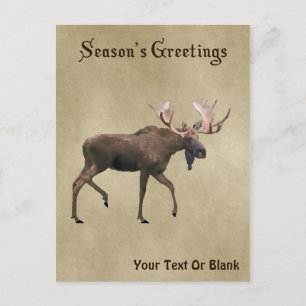 Festtagsgrüße - Bull Moose auf altem Papier Postkarte