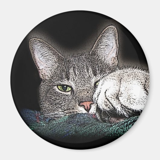 Festus der Bestus Magnet (Vorne)
