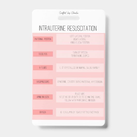 Fetal Monitoring Nurse Reference Badge Ausweis (Vorderseite)