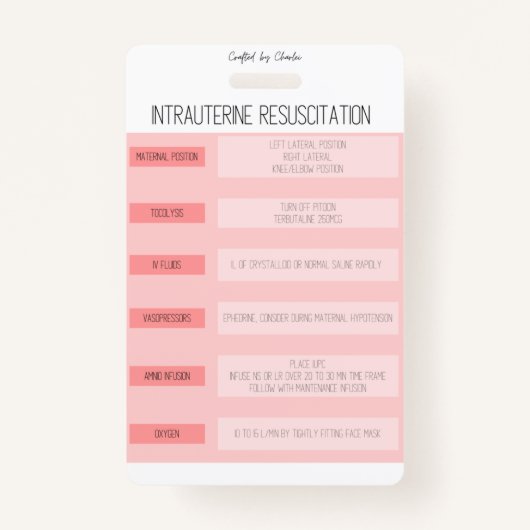 Fetal Monitoring Nurse Reference Badge Ausweis (Vorderseite)