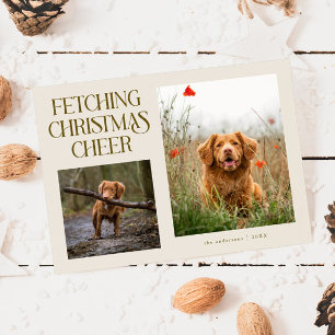 Fetching Christmas Cheer Cream Hunde-Foto Feiertagskarte