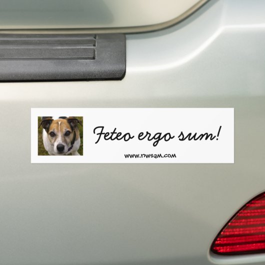 Feteo ergo Summe Autoaufkleber (Auf Auto)
