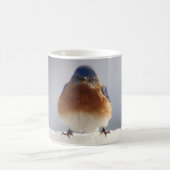 Fett-Blauer Vogel Tasse (Mittel)