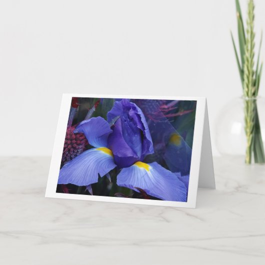 Fett Blue Iris Note Card Set (Vorderseite)