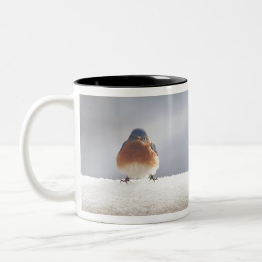 Fett Eastern BlueBird Zweifarbige Tasse (Links)