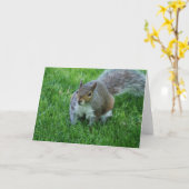 Fett-Eichhörnchen-Grußkarte Karte (Gelbe Blume)