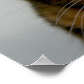 Fett Katze mit Attitude, lustiges Katzenposter Poster (Ecke)