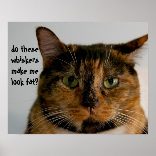 Fett Katze mit Attitude, lustiges Katzenposter Poster (Vorne)