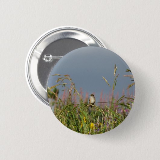 Fett kleiner Hummingbird Button (Vorne & Hinten)