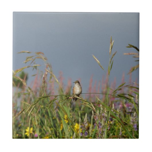 Fett kleiner Hummingbird Fliese (Vorderseite)