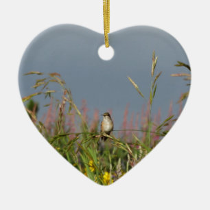 Fett kleiner Hummingbird Keramik Ornament