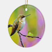 Fett kleiner Hummingbird Keramikornament (Links)