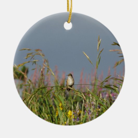 Fett kleiner Hummingbird Keramikornament (Vorne)