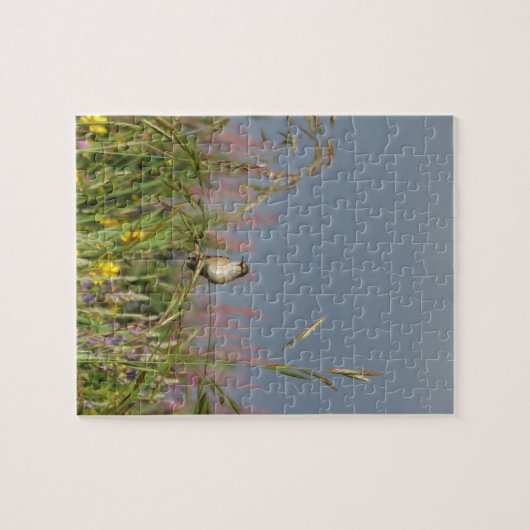 Fett kleiner Hummingbird Puzzle (Horizontal)