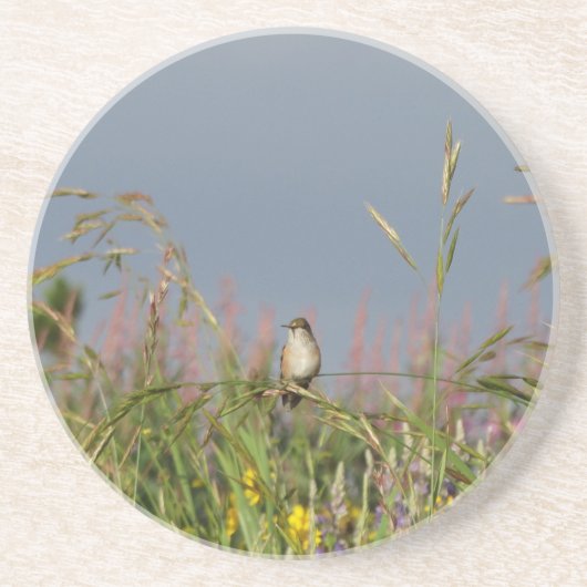 Fett kleiner Hummingbird Untersetzer (Vorne)