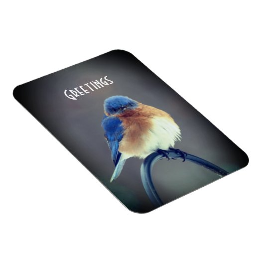 Fett Magnet (Rechte Seite)