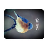 Fett Magnet (Horizontal)