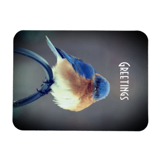 Fett Magnet (Horizontal)