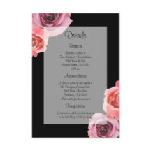 Fett rosa und Lila Frühlings-Rose