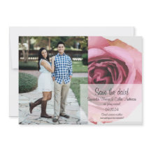 Fett rosa und Lila Frühlings-Rose