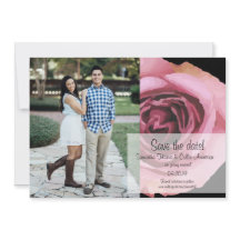 Fett rosa und Lila Frühlings-Rose