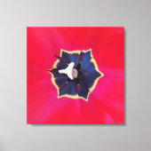 Fett Rote Tulip Blume Makro Naturfotografie Leinwanddruck (Vorderseite)