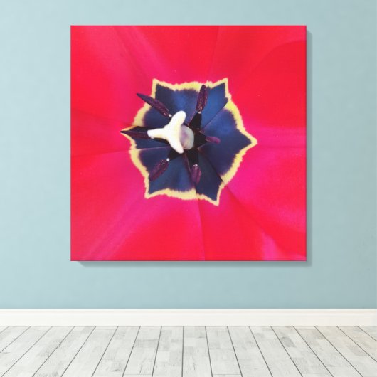 Fett Rote Tulip Blume Makro Naturfotografie Leinwanddruck (Insitu (Holzboden))