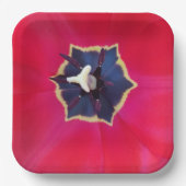 Fett Rote Tulip Blume Makro Naturfotografie Pappteller (Vorderseite)