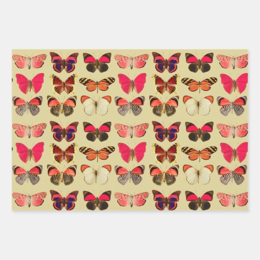 Fett- und farbenfrohe Butterfly-Packpapier Geschenkpapier Set (Vorderseite)