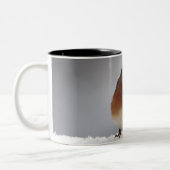 Fett Zweifarbige Tasse (Links)