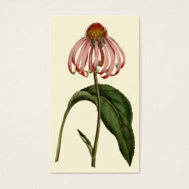 Fette Blume Visitenkarte