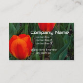 fette rote Tulpen Blumenfotografie Natur Visitenkarte (Rückseite)