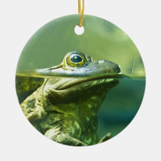 Fetter Frosch Keramik Ornament (Vorne)