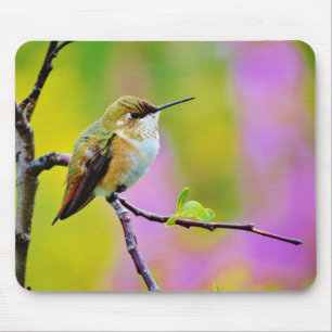 Fetter kleiner Kolibri Mousepad