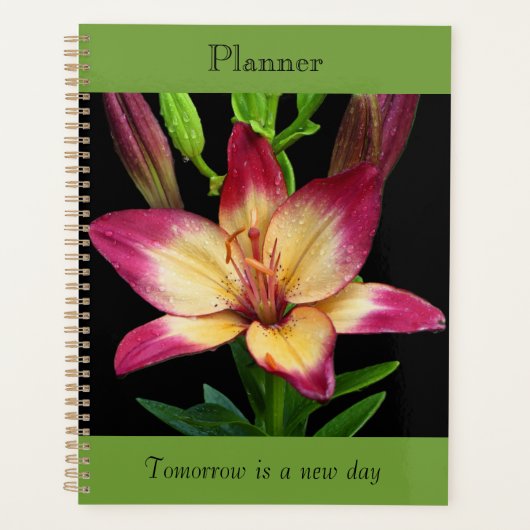 Fetter Lilienplaner Planer (Vorderseite)