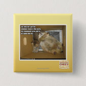 Fetter Zimmergenosse Button (Vorderseite)