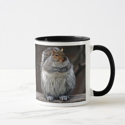 Fettes Eichhörnchen "got Nüsse?" Tasse (Rechts)