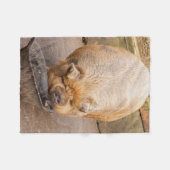 Fettes Schwein Fleecedecke (Vorderseite (Horizontal))